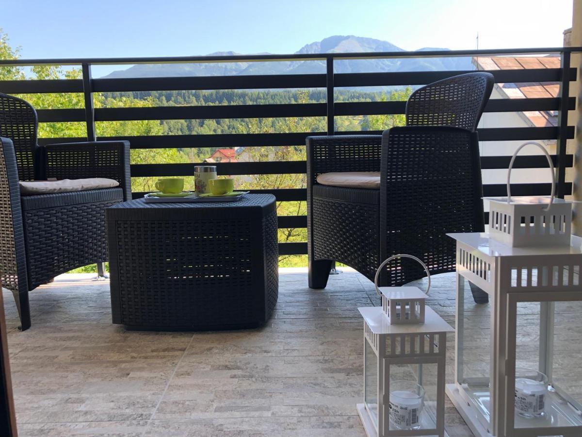 Villa Maya Borşa Eksteriør billede