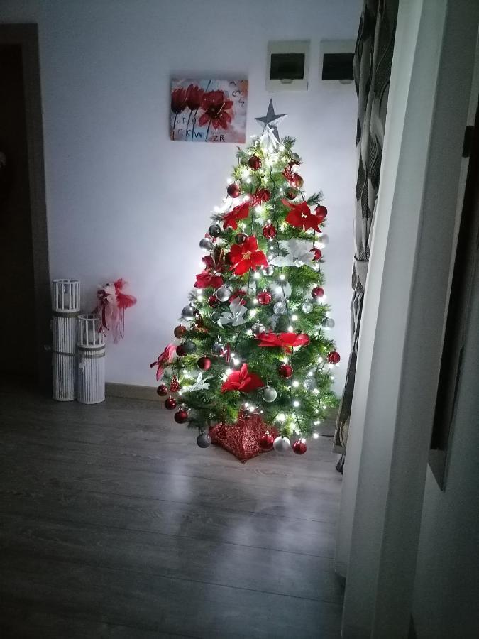 Villa Maya Borşa Eksteriør billede